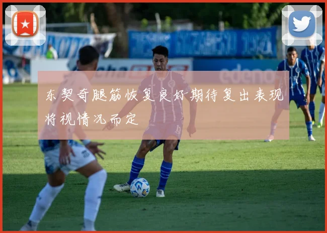 东契奇腿筋恢复良好期待复出表现将视情况而定